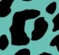 Animal – Leopard - Teal