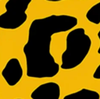 Animal – Leopard - Yellow