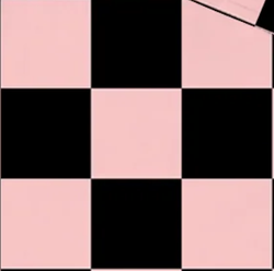 Checkers/Solids – Checkered - Pink/Black