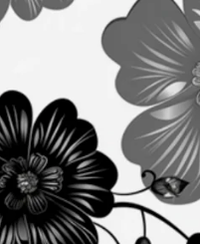 Floral – Black Flowers 2.0