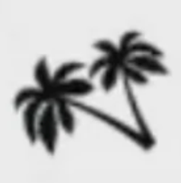 Design – Palms 2.0