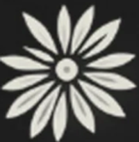 Floral – Midnight Daisy