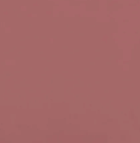 Checkers/Solids – Vibey Red