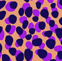 Animal – Groovy Cat