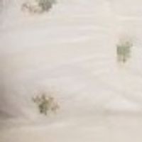 Colour – Cream