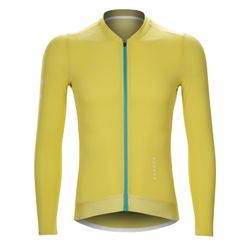 Color – Yellow
