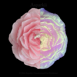 Fluorescent style – B107