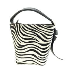 Color – Zebra