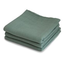 Roman Green
