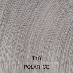 T16 Polar Ice