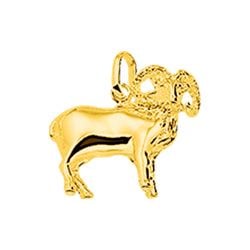 Sterrenbeeld – ram