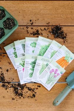 Organic Cool Weather Seed Bundle