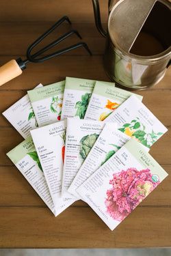 Kim's Kozy Korner Seed Bundle