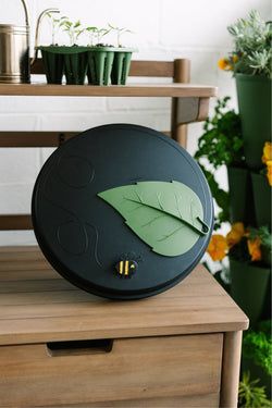 Beautiful Black