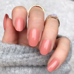 Pastel Rose