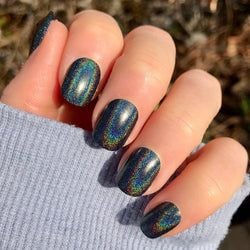 Black Holographic