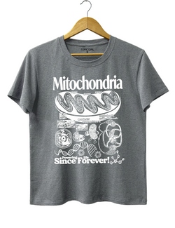 Style – Tee