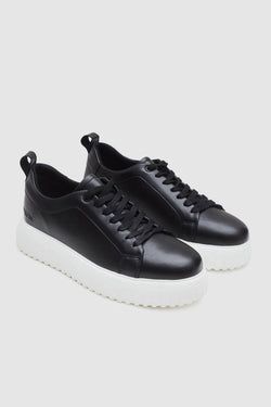Color – Black