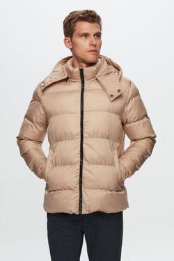 Color – Mink Color