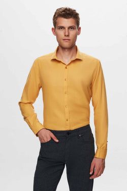 Color – Mustard