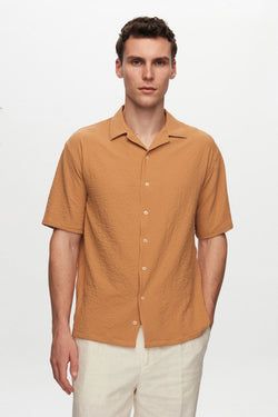 Color – Camel