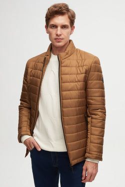 Color – Cinnamon