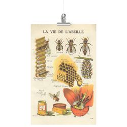 Please Select Format – Poster Print