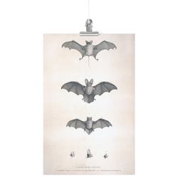 Please Select Format – Poster Print