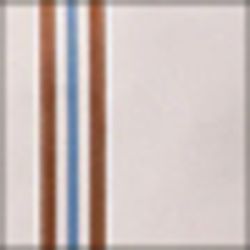 Color – Ivory Camel
