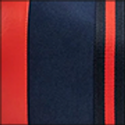 Color – Navy Red