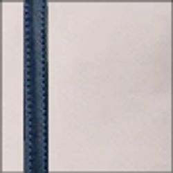 Color – Ivory Navy