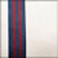 Color – Ivory Navy