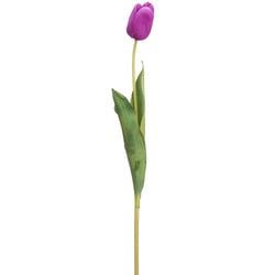 Options – Purple
