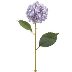 2 Tone Lavender