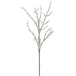 38"