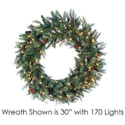 36" Rice LED Lights