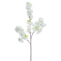 Options – White