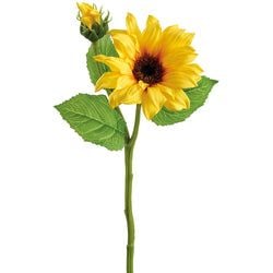 Options – Yellow
