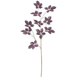Options – Purple