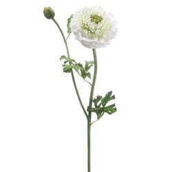 Cream/Green