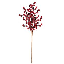 Options – Red/Burgundy
