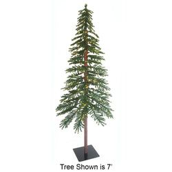 5'