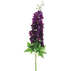 Dark Purple