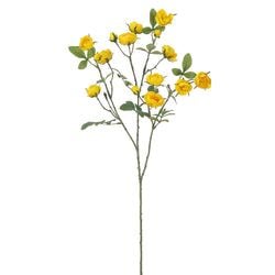 Options – Yellow