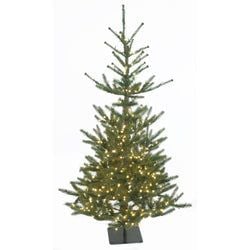 Options – 5' LED