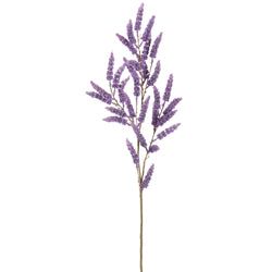 Lavender/Purple