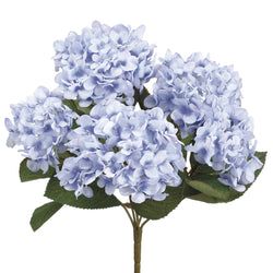 Options – Blue/Delphinium
