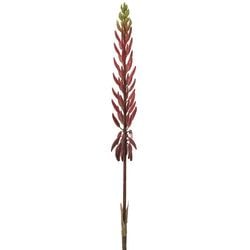 Options – 2-Tone Boysenberry