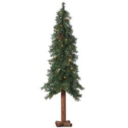 5' Multi Colored Lights