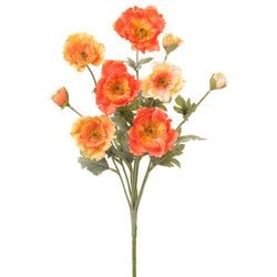 Coral/Yellow
